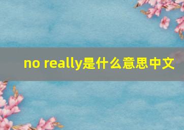 no really是什么意思中文